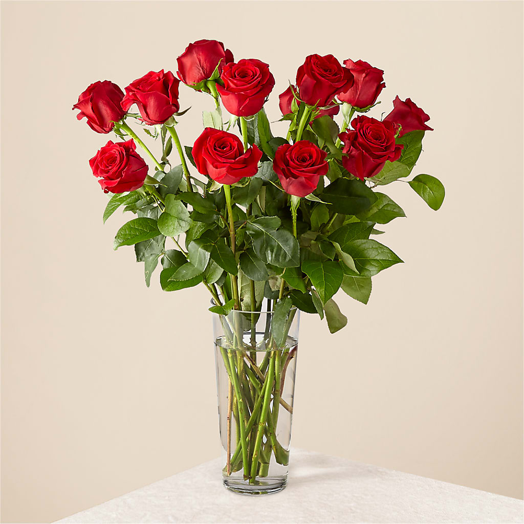 Long Stem Red Rose Bouquet – Yellow Flower Dream, Surprise AZ