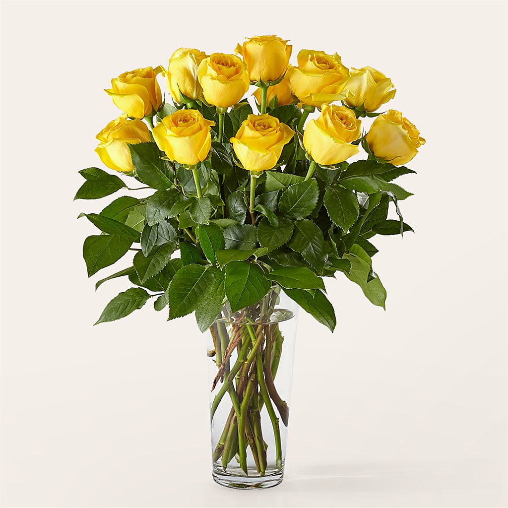 Long Stem Yellow Rose Bouquet – Yellow Flower Dream, Surprise AZ