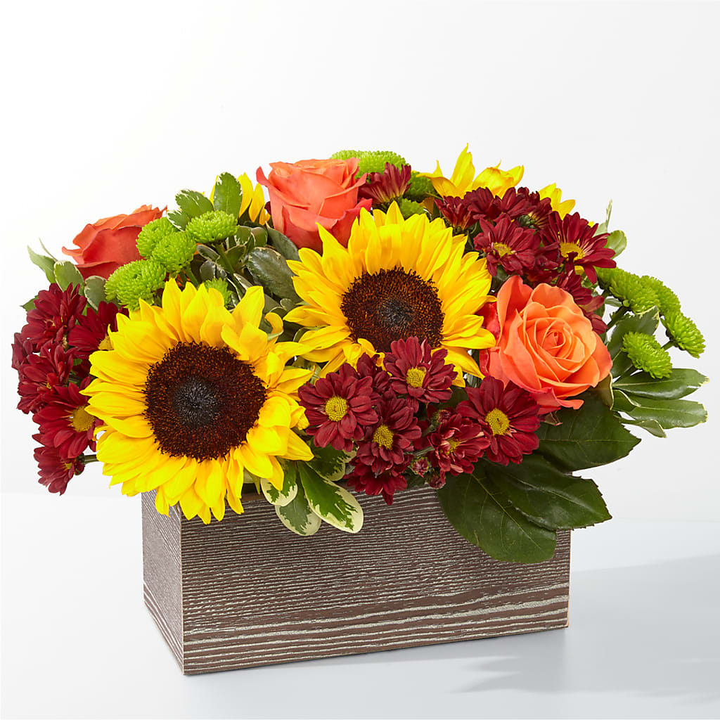 Happy Harvest Garden – Yellow Flower Dream, Surprise AZ