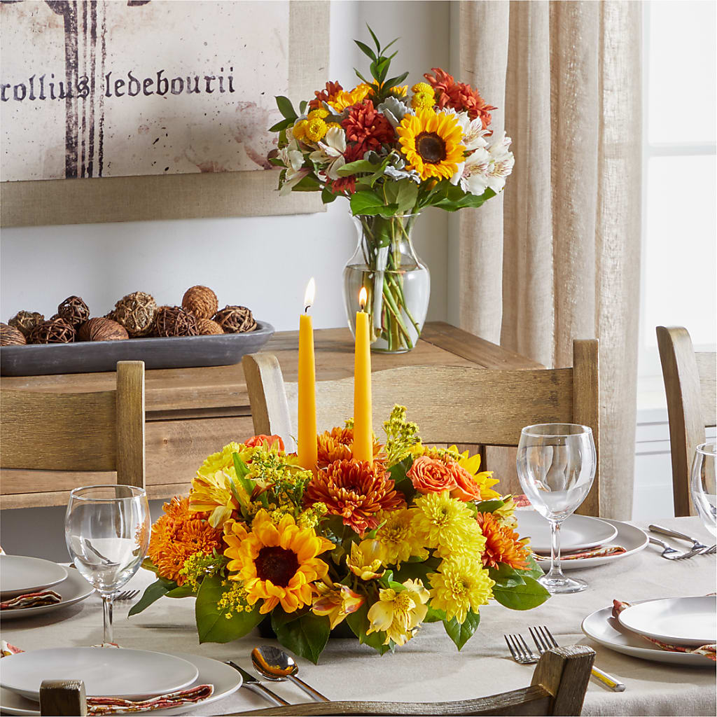 Golden Gathering Bundle – Yellow Flower Dream, Surprise AZ