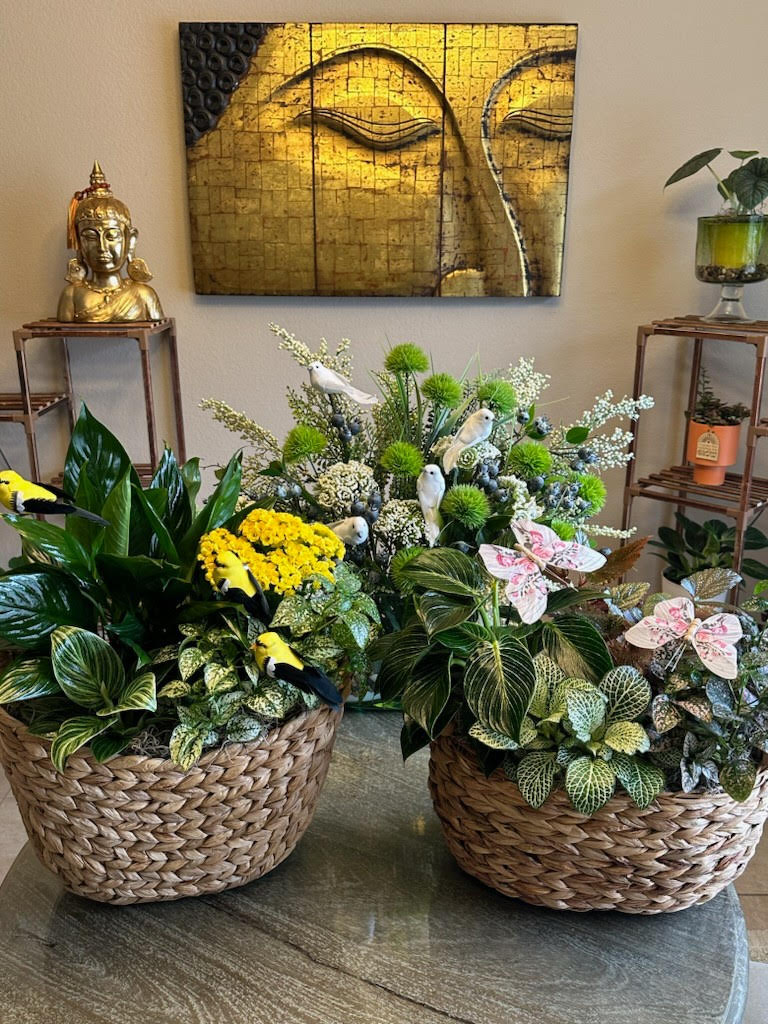 Florist designer choice dishgarden – Yellow Flower Dream, Surprise AZ