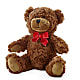 Adorable Plush Bear –  Yellow Flower Dream, Surprise AZ