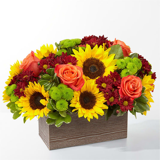 Happy Harvest Garden –  Yellow Flower Dream, Surprise AZ
