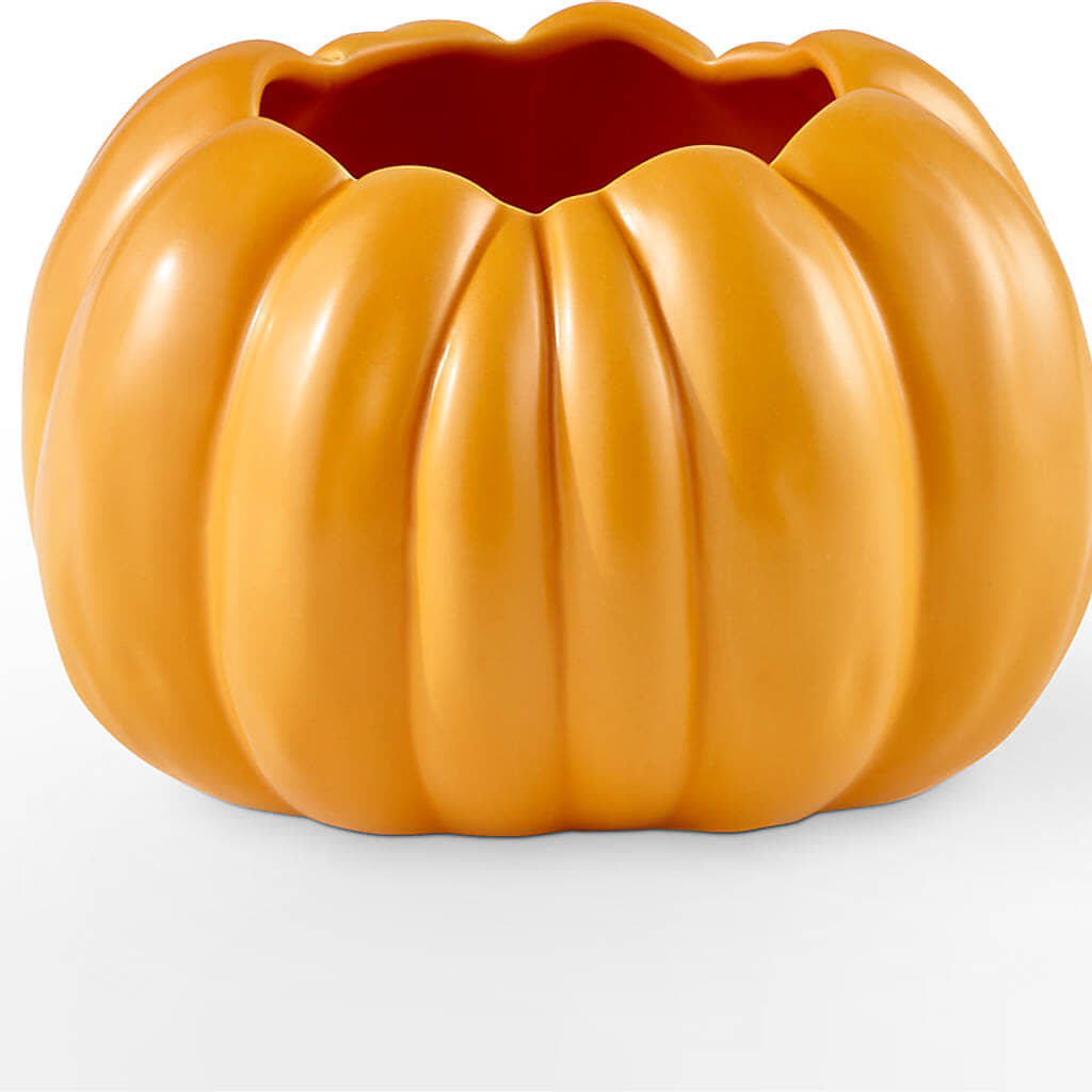 Pick of the Patch Pumpkin Bouquet –  Yellow Flower Dream, Surprise AZ