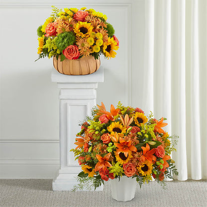 Heart of Gold Bundles –  Yellow Flower Dream, Surprise AZ
