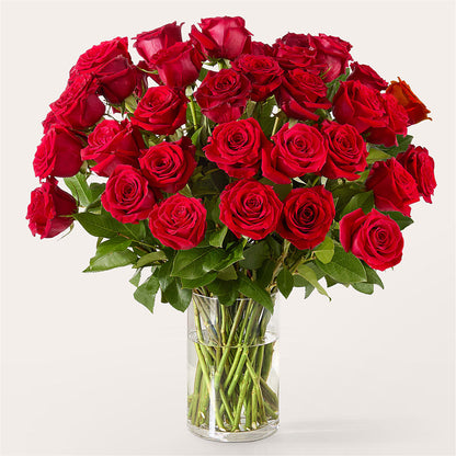 The One Red Rose Bouquet –  Yellow Flower Dream, Surprise AZ
