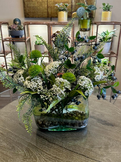 Florist Designer Choice Plant and Dishgarden