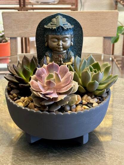 ZEN GARDEN –  Yellow Flower Dream, Surprise AZ